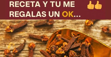 558183099 122131349426943773 9166213091418098688 n