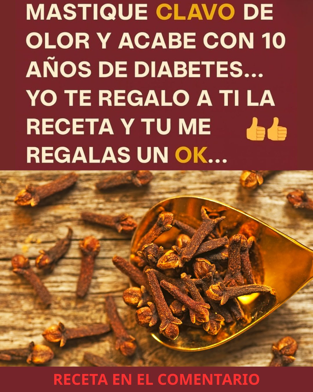 558183099 122131349426943773 9166213091418098688 n