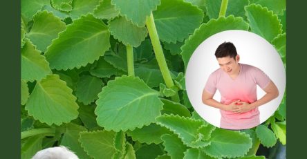 558878114 122131726742943773 2391747702627069046 n