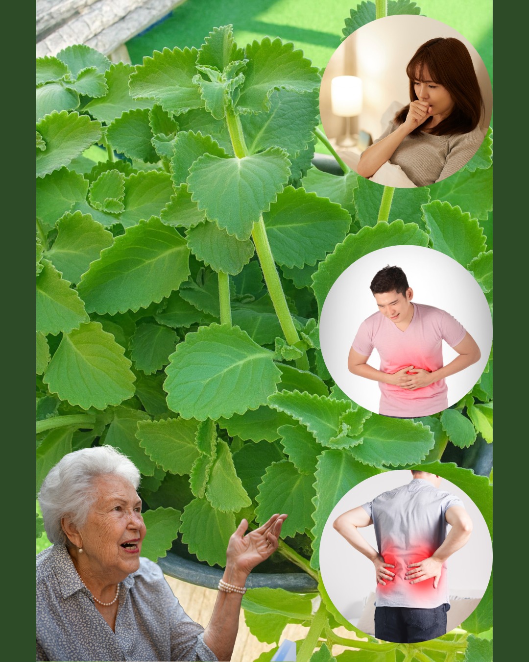 558878114 122131726742943773 2391747702627069046 n