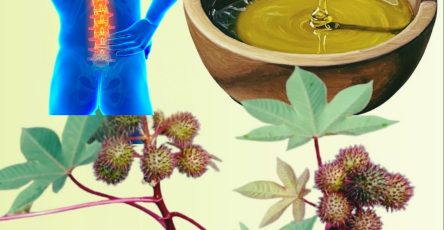 559023170 122131154486943773 5262399385002099735 n