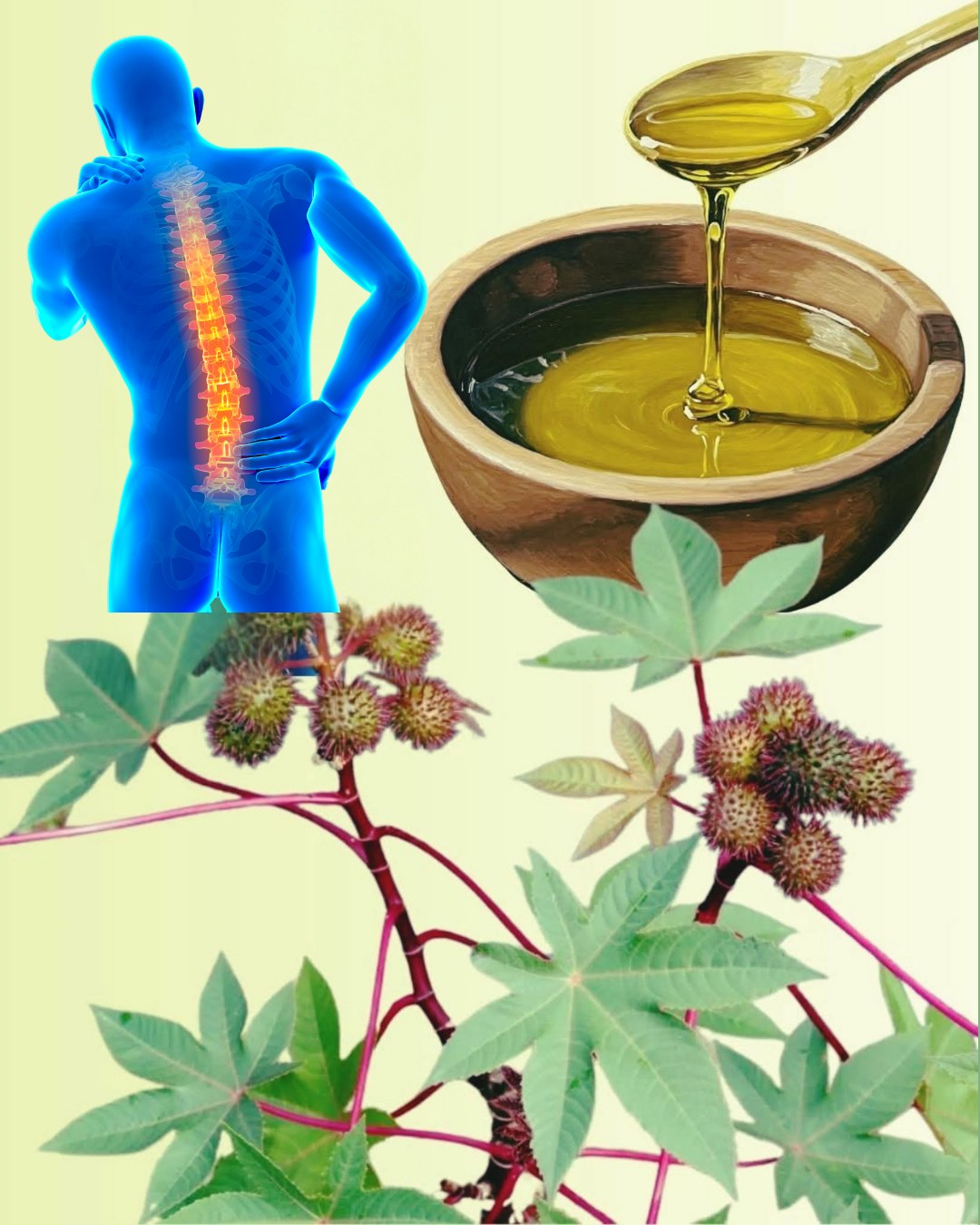 559023170 122131154486943773 5262399385002099735 n