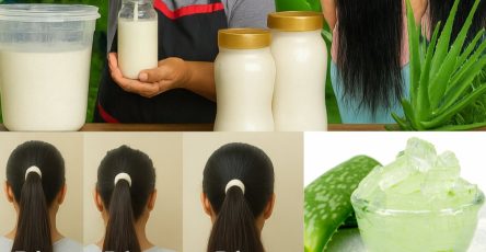 559025713 122131465412943773 1093152747798717902 n