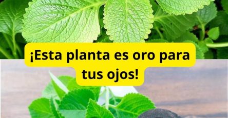 559342403 122130938750943773 4020129259136000652 n