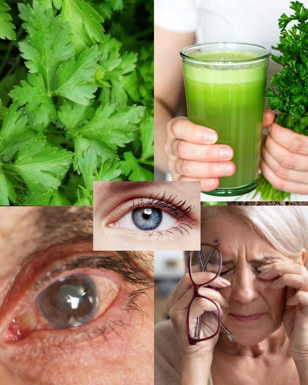 559539826 122132230442943773 8507761161116847087 n