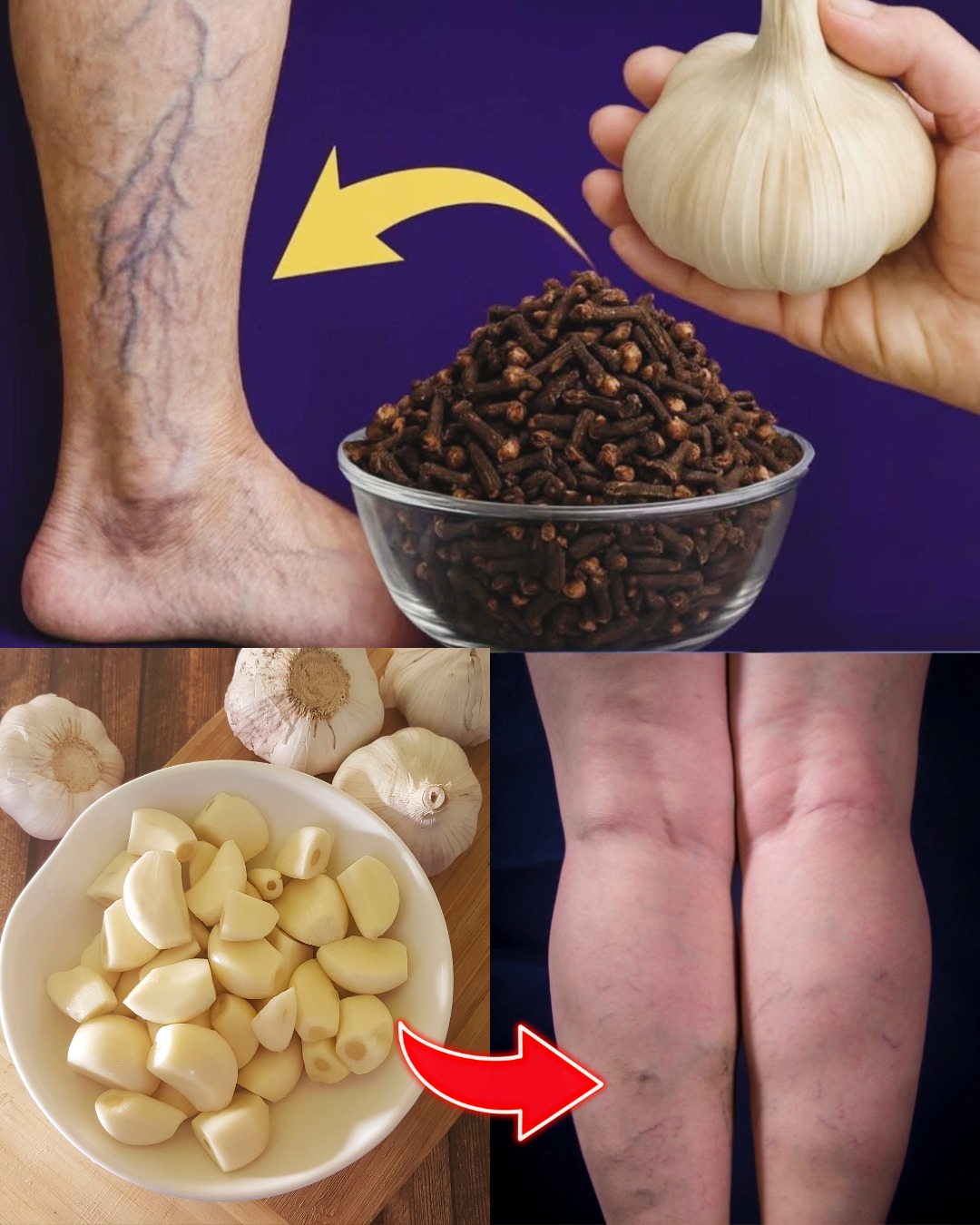 559564210 122131796930943773 345221159184827630 n