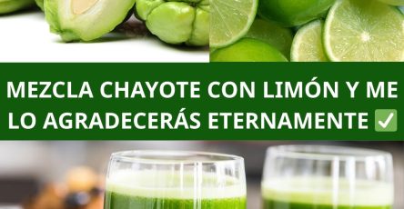 559876861 122132098916943773 3172249295302358844 n