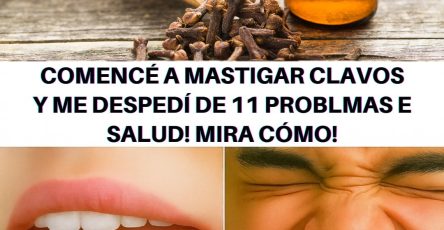 559963546 122132325506943773 4641316947553642831 n