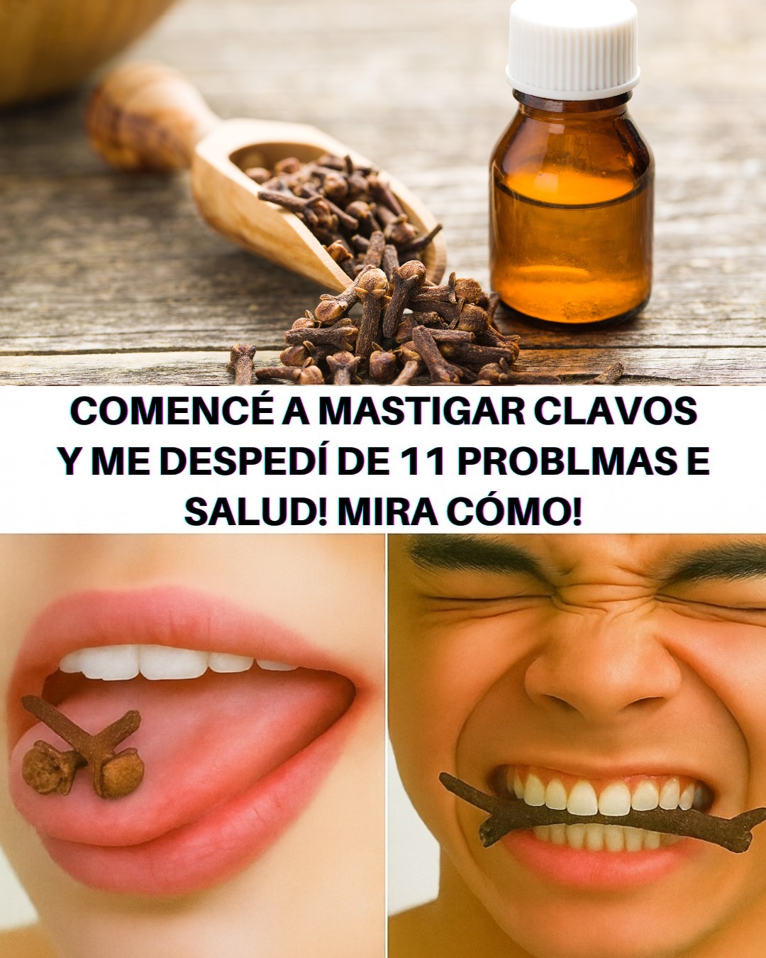 559963546 122132325506943773 4641316947553642831 n