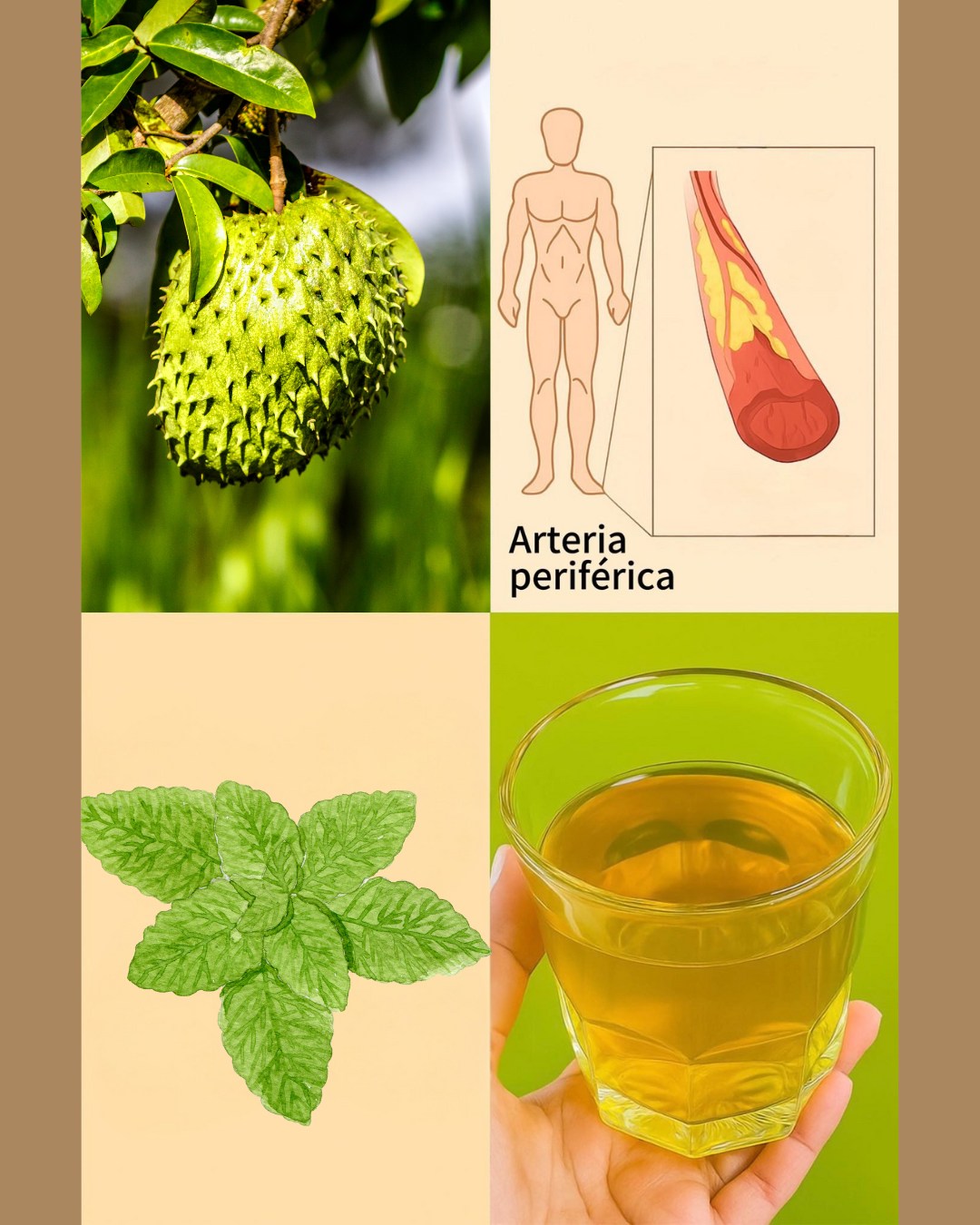 560038256 122132344226943773 196217541215947338 n