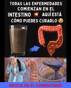 560319577 122130864440943773 1644030952369902517 n