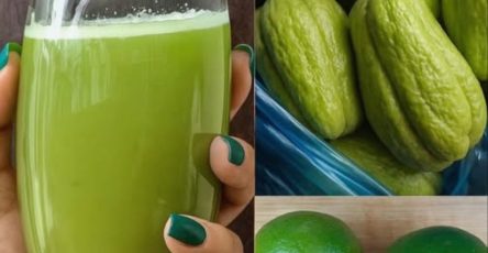 560359828 122130792800943773 2052245907252094012 n