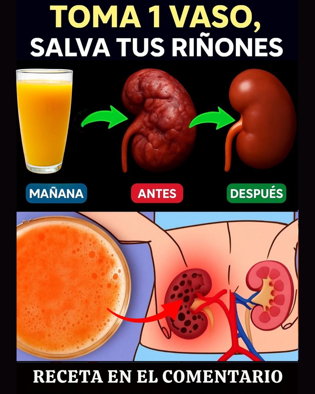 560574958 122133996368943773 7971040288657769723 n