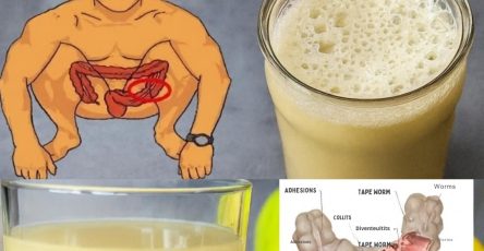 560706828 122131957196943773 5884481125227850441 n