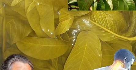 560906589 122132186108943773 7834279569520920944 n