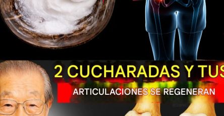 561247595 122133119420943773 2190871386056652639 n