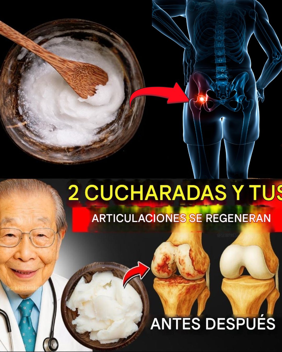 561247595 122133119420943773 2190871386056652639 n