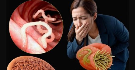 561508635 122131995440943773 8536758185960307807 n