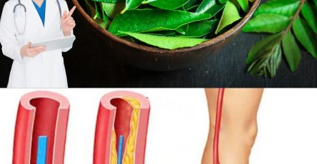 561761779 122133321602943773 8995015002685399836 n