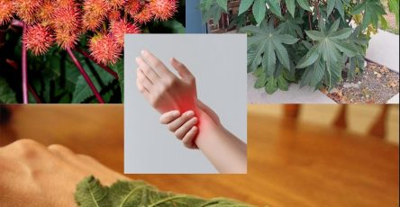 561853621 122132122238943773 604372913710597590 n