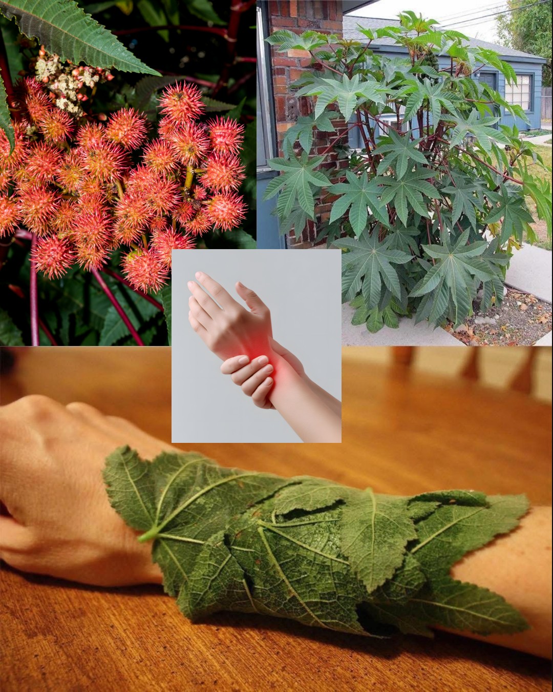 561853621 122132122238943773 604372913710597590 n