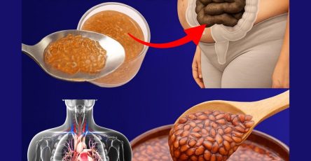 562180535 122133421610943773 8965313508061340424 n