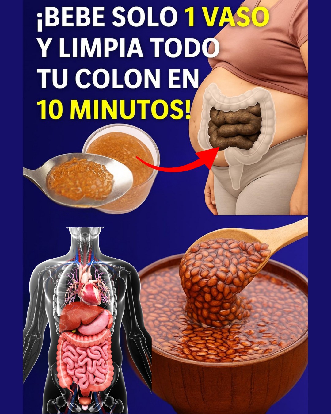 562180535 122133421610943773 8965313508061340424 n