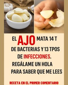 562264906 122133895388943773 1936047949661765627 n