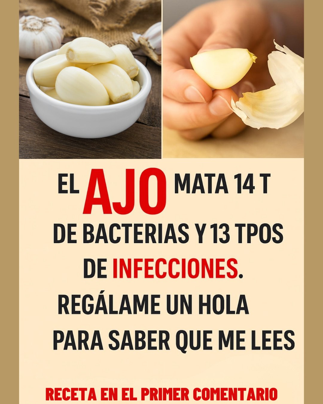 562264906 122133895388943773 1936047949661765627 n