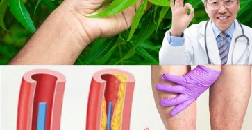 564143941 122132898284943773 2851172962624617285 n