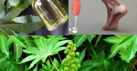 564594773 122132425754943773 6291853689174873714 n