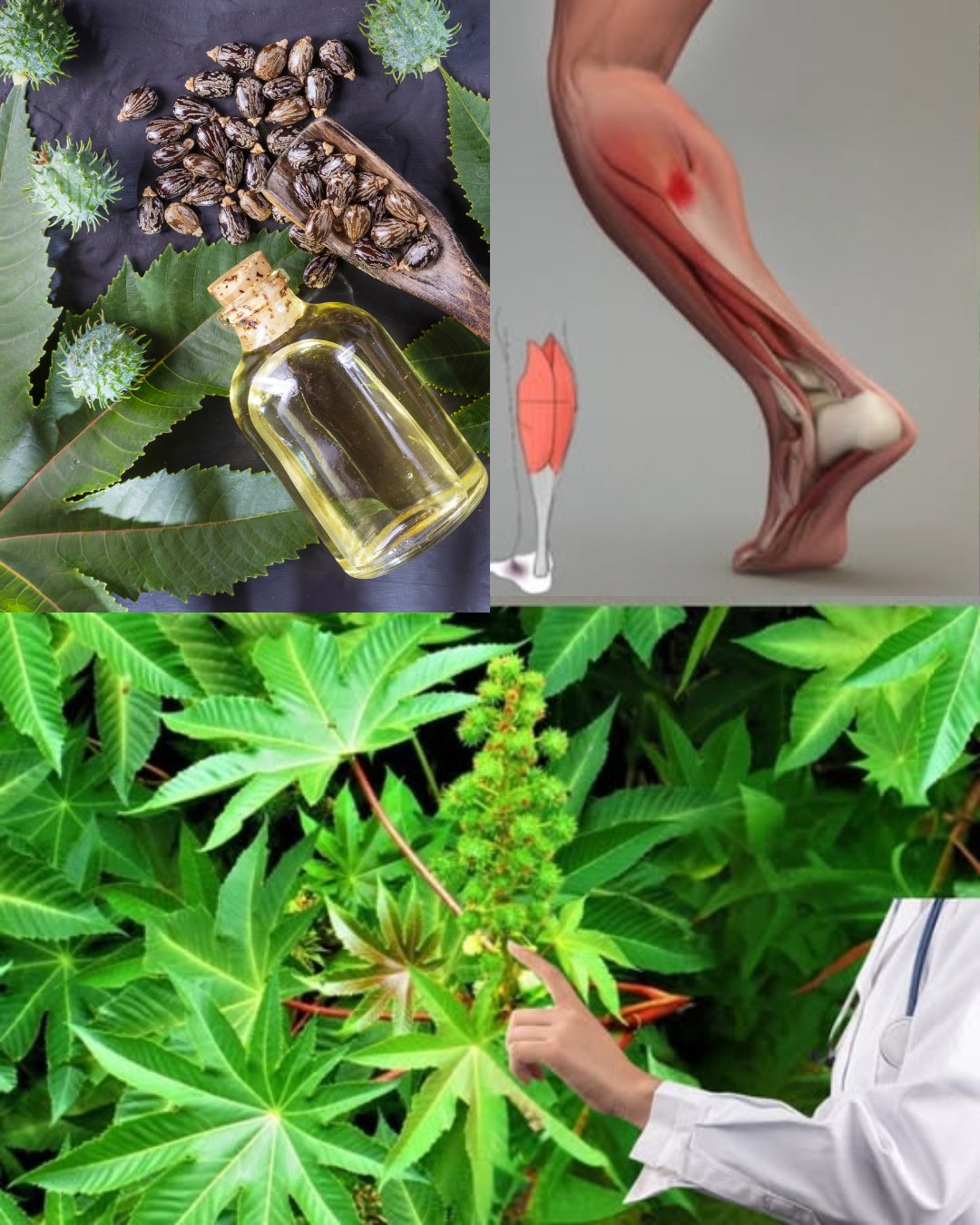 564594773 122132425754943773 6291853689174873714 n