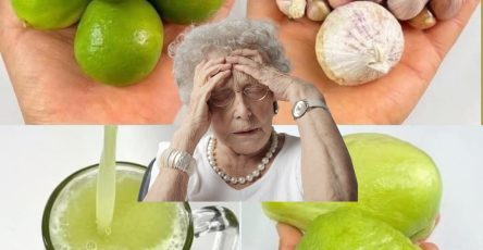 564737344 122133297944943773 5814440028403252008 n