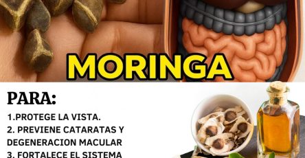 564835220 122133709862943773 2017496679710123262 n