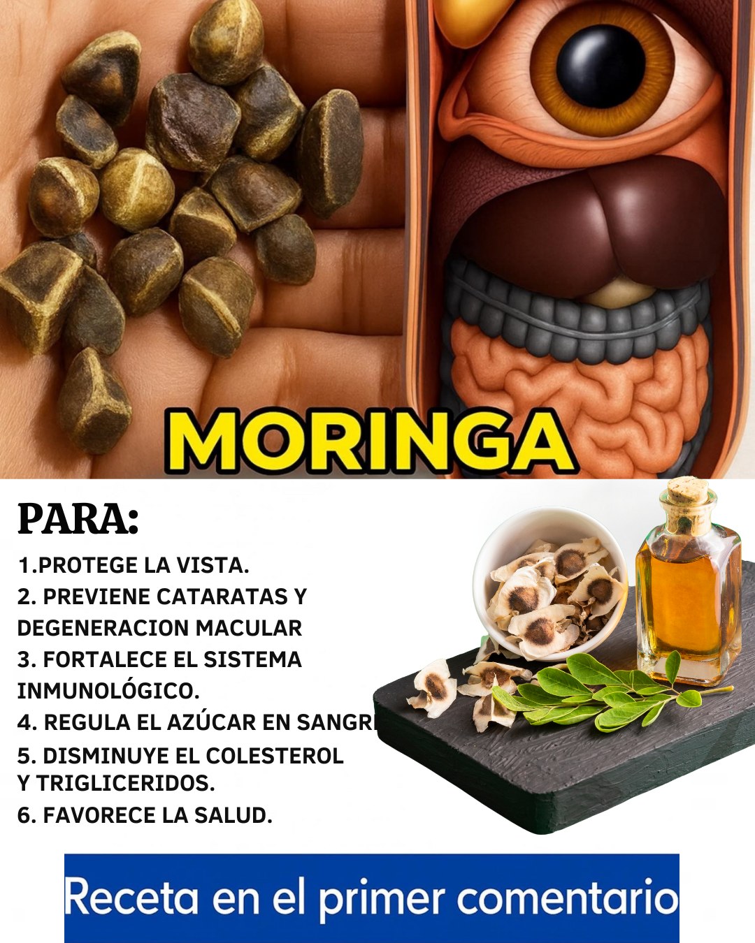 564835220 122133709862943773 2017496679710123262 n