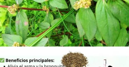 565613763 122133559244943773 6564323472549650925 n