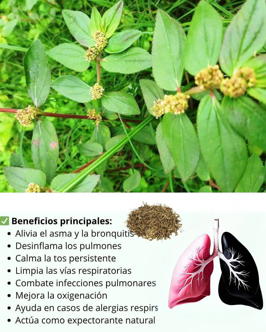 565613763 122133559244943773 6564323472549650925 n