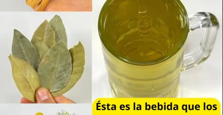 565679145 122133743360943773 7271409696647423896 n