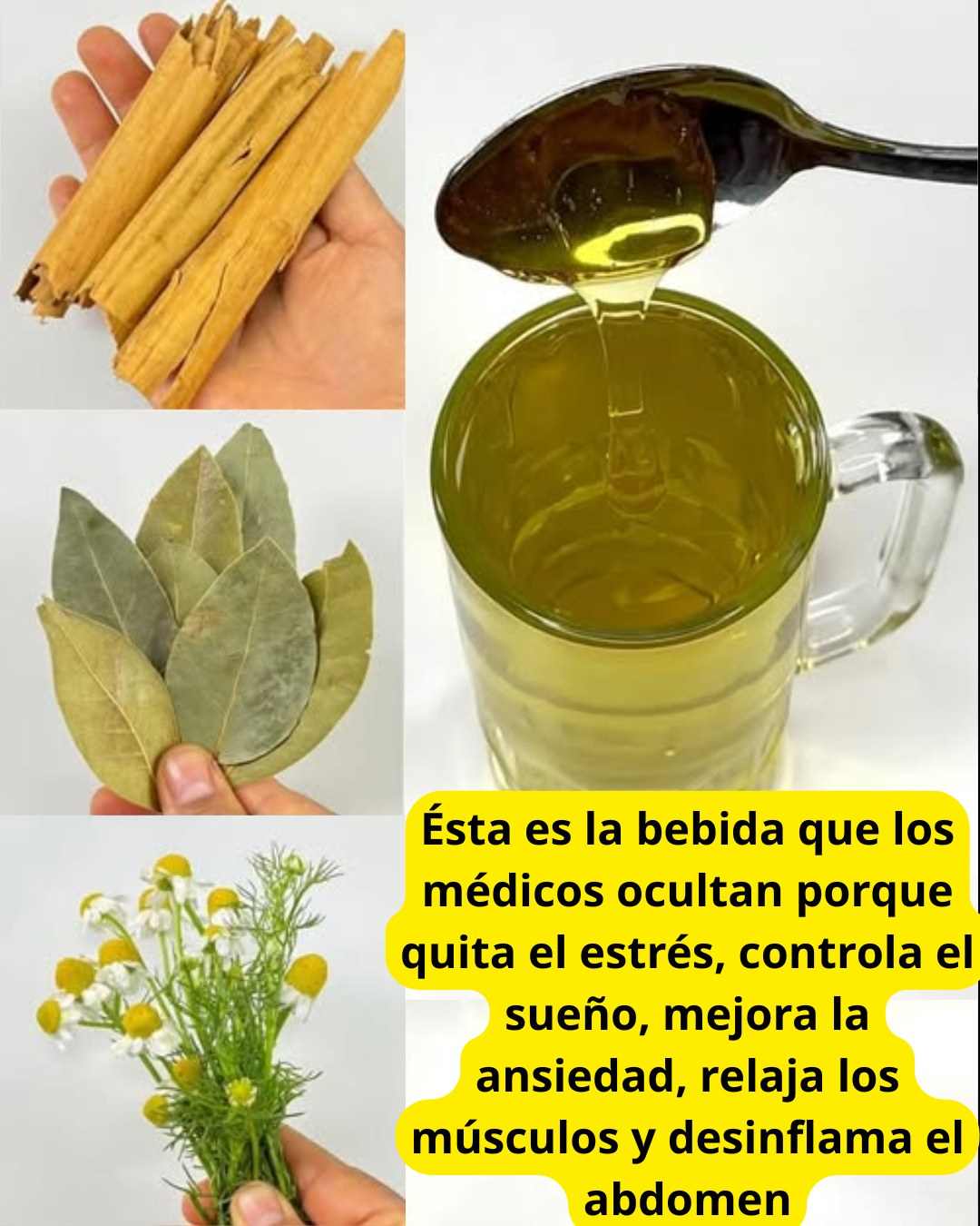 565679145 122133743360943773 7271409696647423896 n