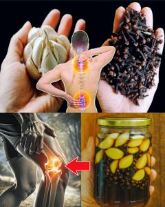 566223607 122133106142943773 1850910061520499168 n