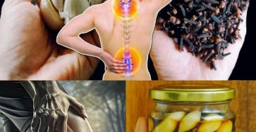 566223607 122133106142943773 1850910061520499168 n