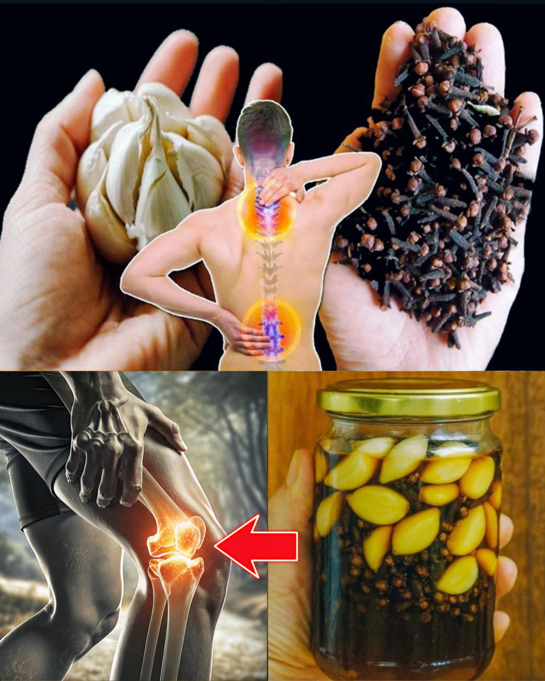 566223607 122133106142943773 1850910061520499168 n