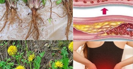 566224963 122133884288943773 5212877265117385893 n