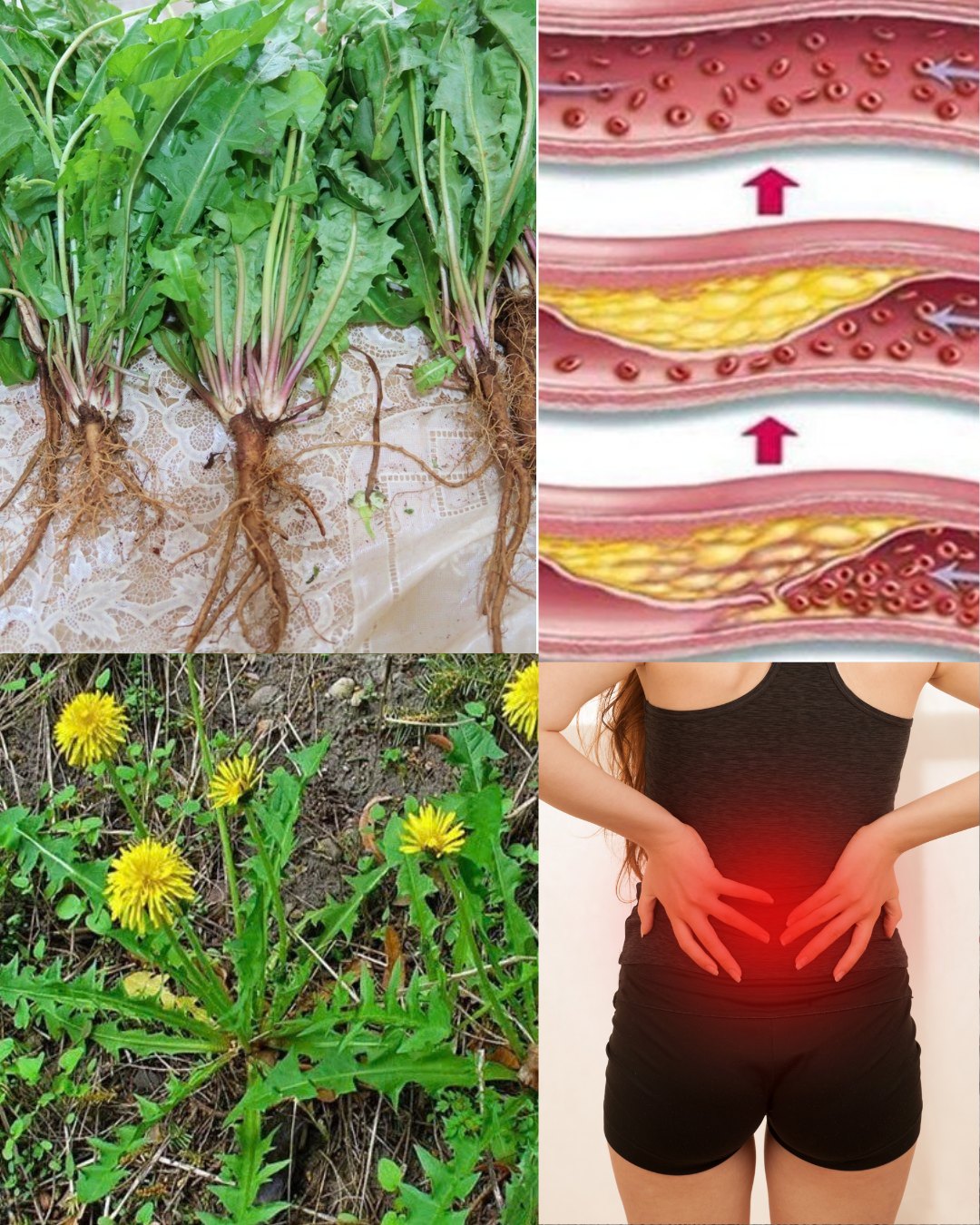 566224963 122133884288943773 5212877265117385893 n