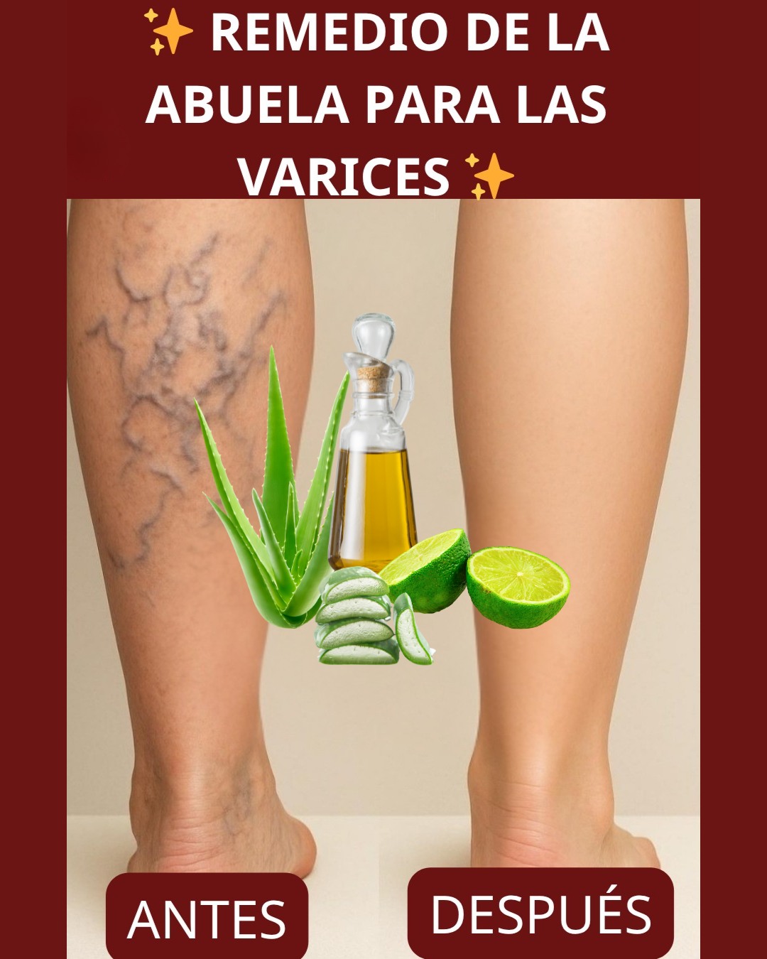 566358150 122133975446943773 2299106433991055705 n