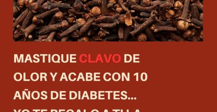 567582602 122134148600943773 5048592352857947646 n