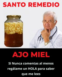 568238234 122133948602943773 3689983919006978766 n