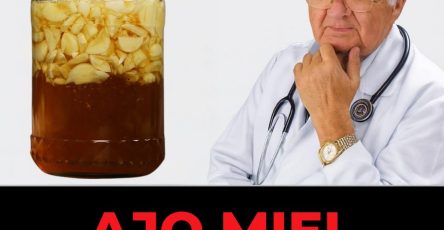 568238234 122133948602943773 3689983919006978766 n