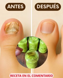 571009196 122134691864943773 7632799329672953746 n