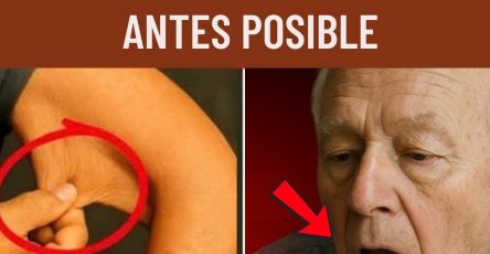 571099274 122134187138943773 7015043026265479276 n